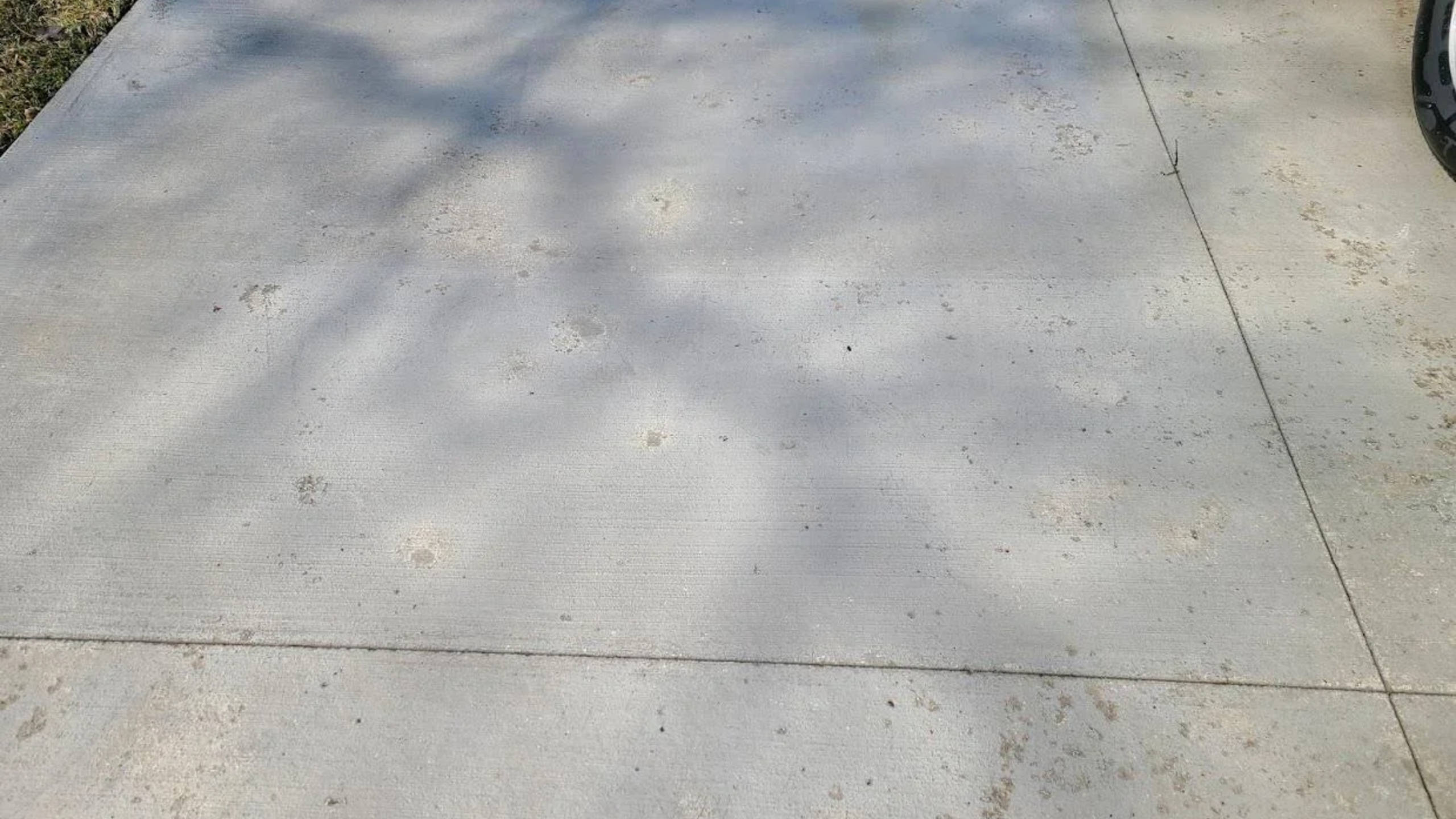 Cracked concrete driveway surface, indicating need to replace a driveway.