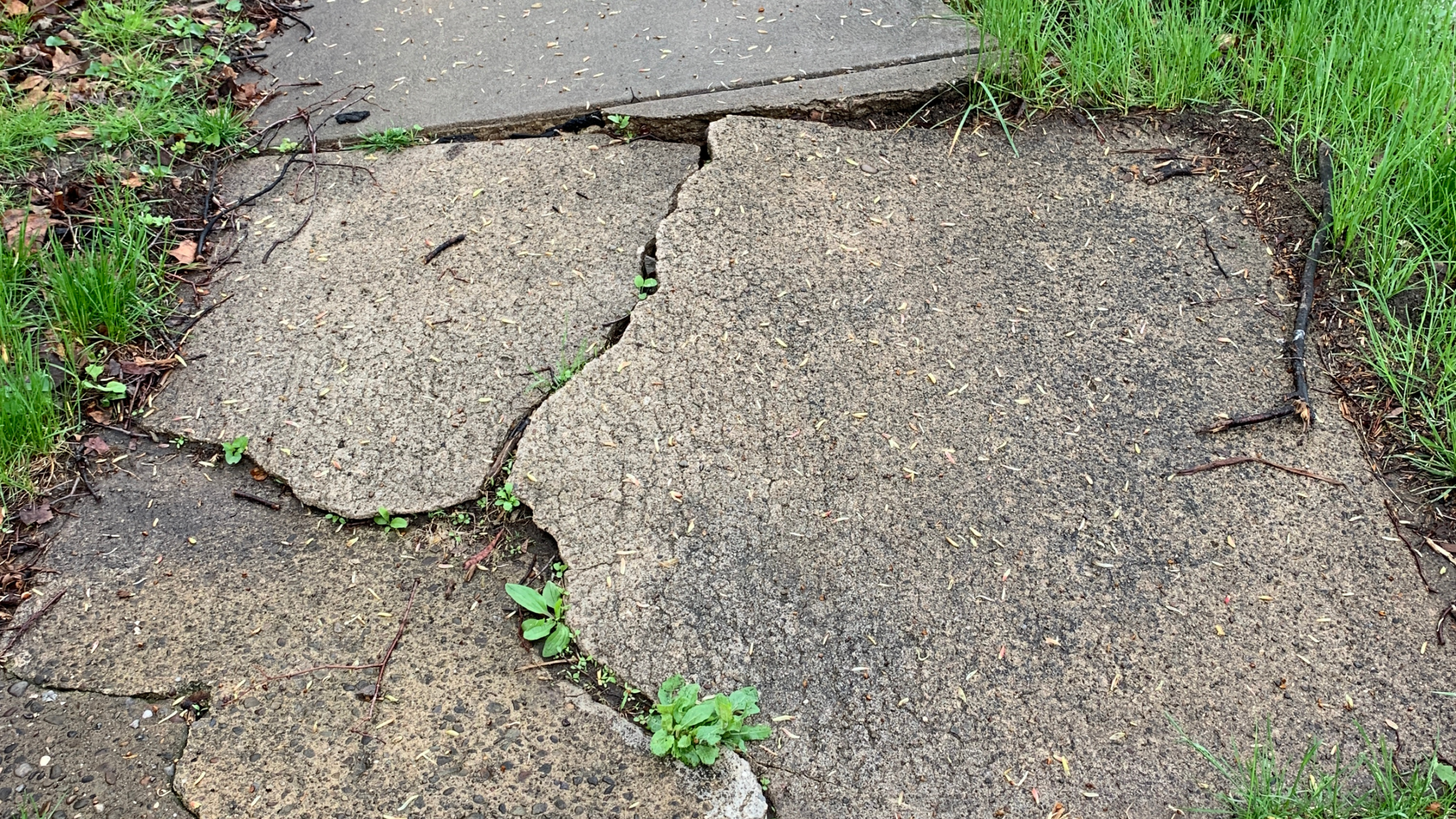 Cracked concrete driveway sections, indicating need to replace a driveway.
